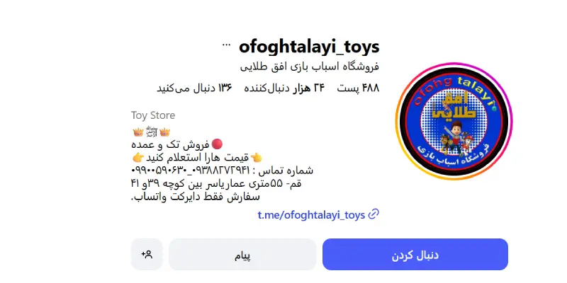 فروشگاه اسباب بازی افق طلایی قم