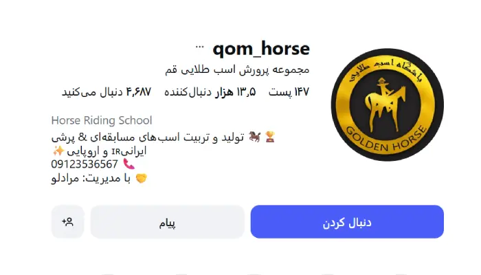 باشگاه سوارکاری اسب طلایی قم